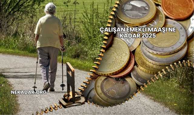 Çalışan Emekli Maaşı Ne Kadar 2025