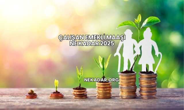 Çalışan Emekli Maaşı Ne Kadar 2025
