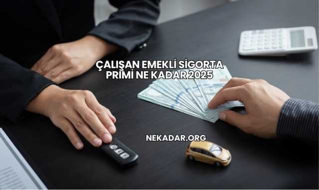 Çalışan Emekli Sigorta Primi Ne Kadar 2025