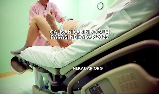 Çalışan Kadın Doğum Parası Ne Kadar 2025