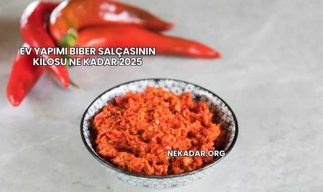 Ev Yapımı Biber Salçasının Kilosu Ne Kadar 2025