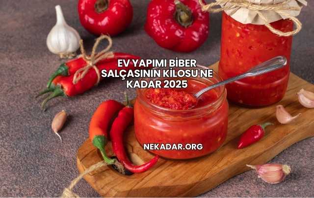 Ev Yapımı Biber Salçasının Kilosu Ne Kadar 2025