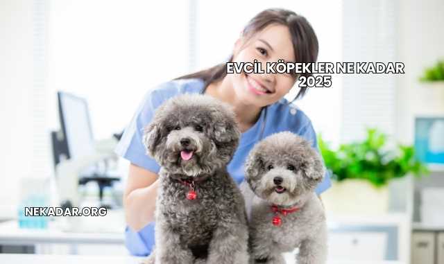 Evcil Köpekler Ne Kadar 2025