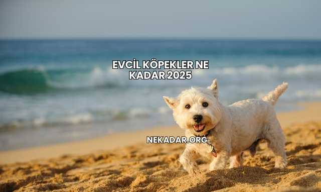 Evcil Köpekler Ne Kadar 2025