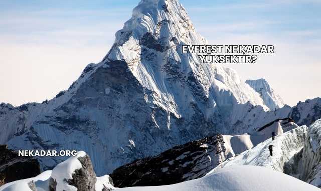 Everest Ne Kadar Yüksektir?