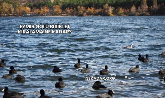Eymir Gölü Bisiklet Kiralama Ne Kadar?