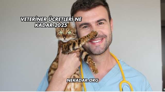 Veteriner Ücretleri Ne Kadar 2025