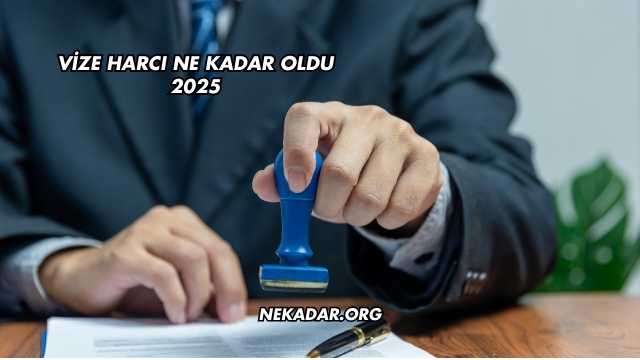 Vize Harcı Ne Kadar Oldu 2025