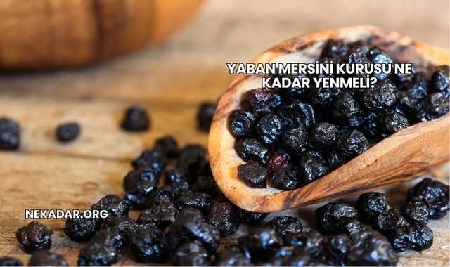 Yaban Mersini Kurusu Ne Kadar Yenmeli?