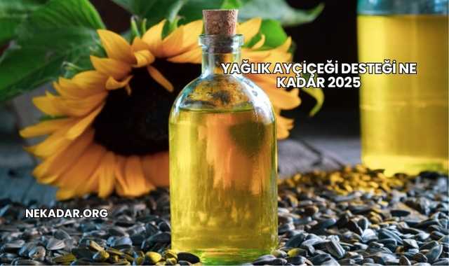 Yağlık Ayçiçeği Desteği Ne Kadar 2025