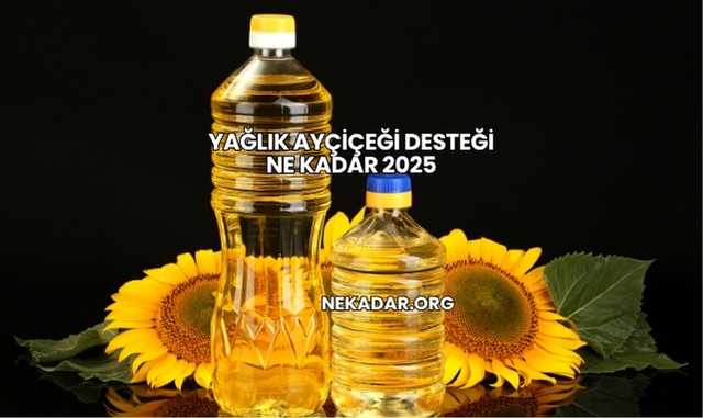 Yağlık Ayçiçeği Desteği Ne Kadar 2025