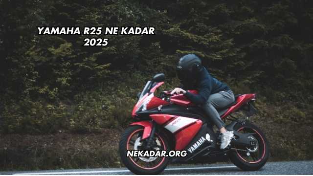 Yamaha R25 Ne Kadar 2025