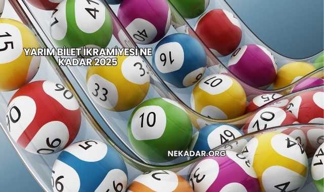 Yarım Bilet İkramiyesi Ne Kadar 2025