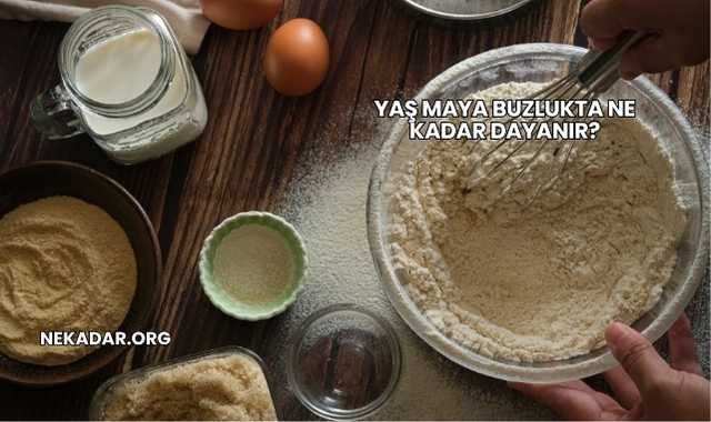 Yaş Maya Buzlukta Ne Kadar Dayanır?