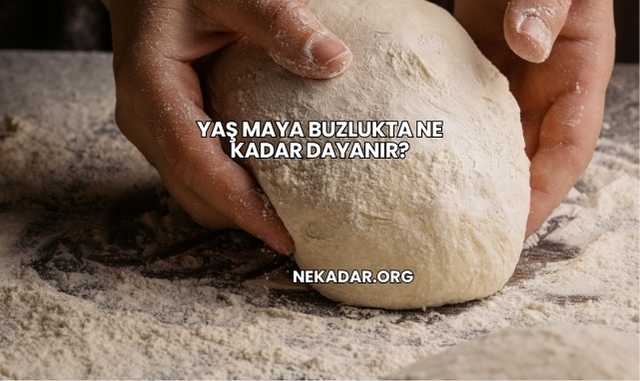 Yaş Maya Buzlukta Ne Kadar Dayanır?