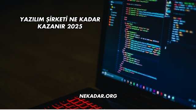 Yazılım Şirketi Ne Kadar Kazanır 2025