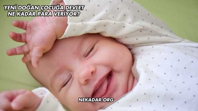 Yeni Doğan Çocuğa Devlet Ne Kadar Para Veriyor?