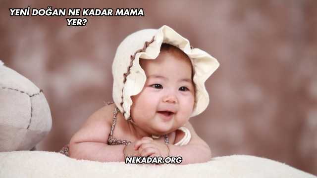 Yeni Doğan Ne Kadar Mama Yer?