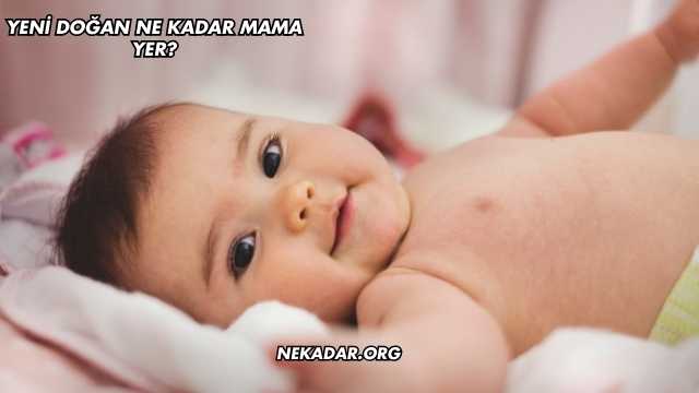 Yeni Doğan Ne Kadar Mama Yer?