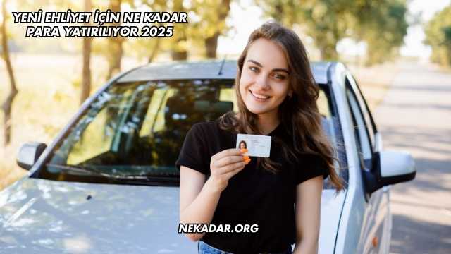 Yeni Ehliyet İçin Ne Kadar Para Yatırılıyor 2025