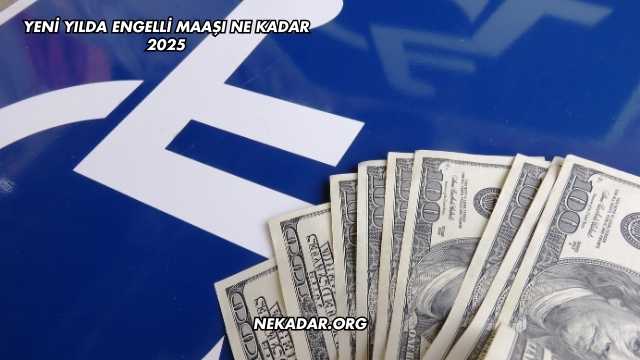 Yeni Yılda Engelli Maaşı Ne Kadar 2025