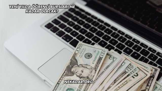 Yeni Yılda Öğrenci Bursları Ne Kadar Olacak?