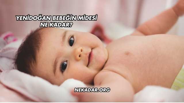Yenidoğan Bebeğin Midesi Ne Kadar?