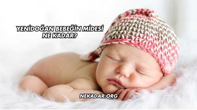 Yenidoğan Bebeğin Midesi Ne Kadar?