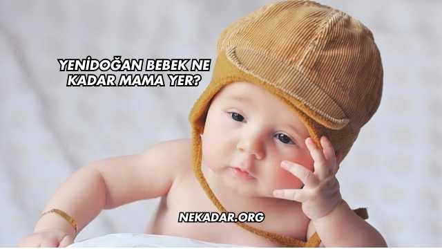 Yenidoğan Bebek Ne Kadar Mama Yer?