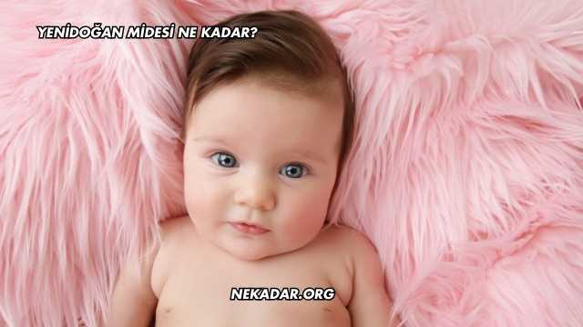 Yenidoğan Midesi Ne Kadar?
