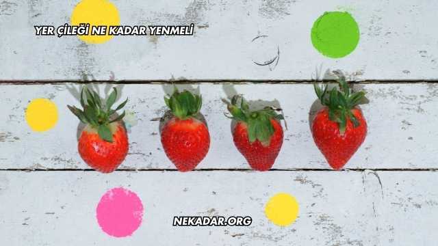 Yer Çileği Ne Kadar Yenmeli