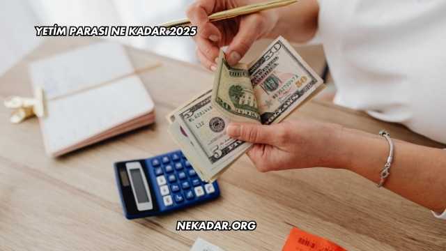 Yetim Parası Ne Kadar 2025