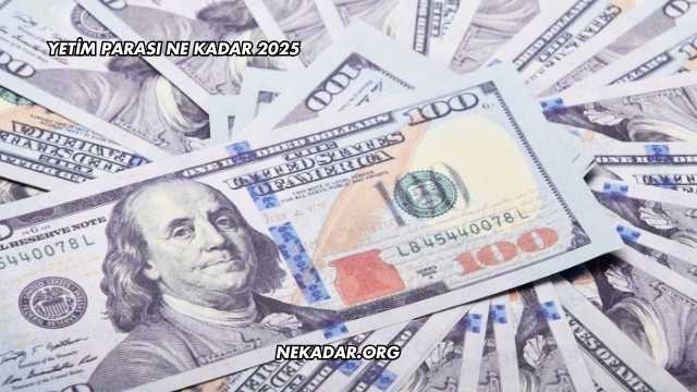 Yetim Parası Ne Kadar 2025