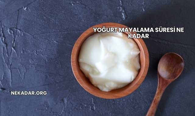 Yoğurt Mayalama Süresi Ne Kadar