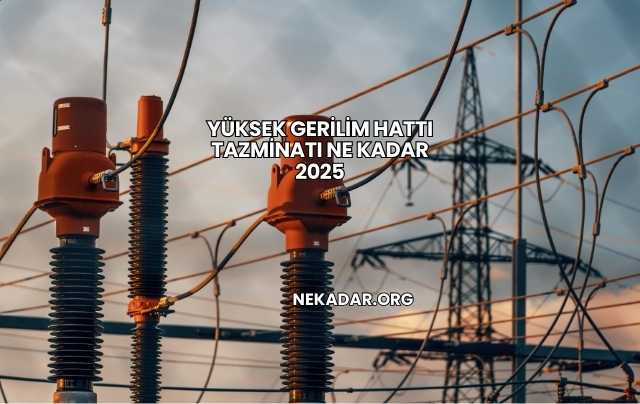 Yüksek Gerilim Hattı Tazminatı Ne Kadar 2025