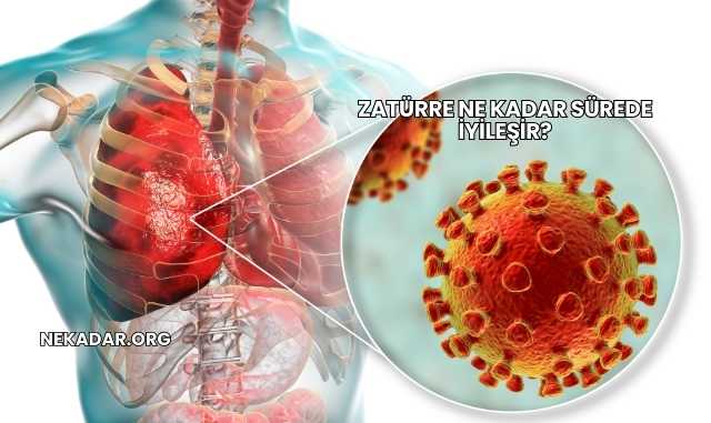 Zatürre Ne Kadar Sürede İyileşir?