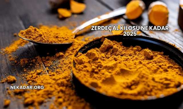 Zerdeçal Kilosu Ne Kadar 2025