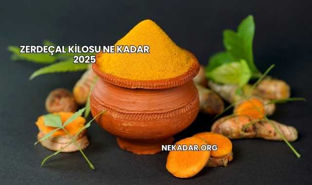 Zerdeçal Kilosu Ne Kadar 2025