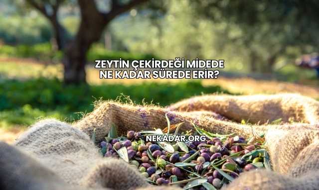 Zeytin Çekirdeği Midede Ne Kadar Sürede Erir?