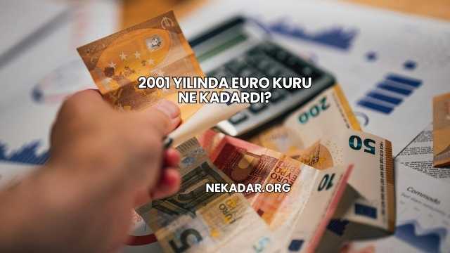 2001 Yılında Euro Kuru Ne Kadardı?