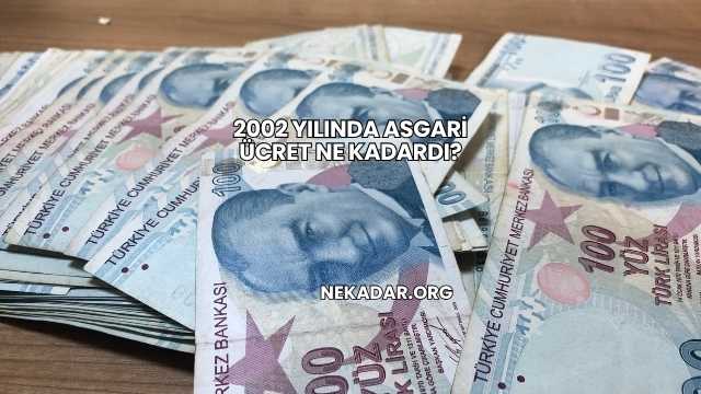 2002 Yılında Asgari Ücret Ne Kadardı?