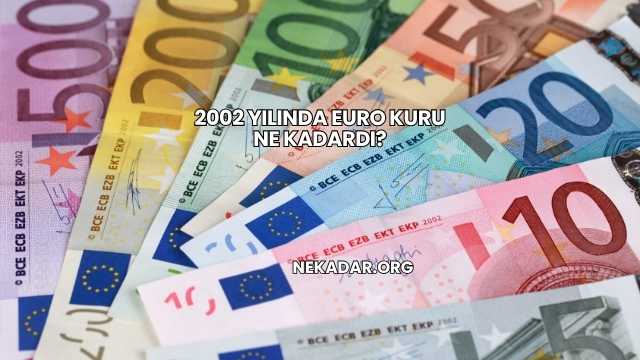 2002 Yılında Euro Kuru Ne Kadardı?