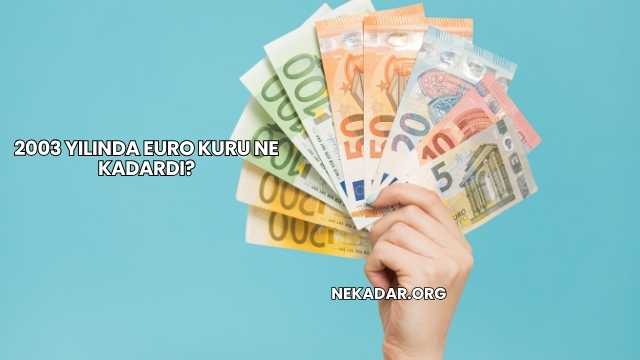 2003 Yılında Euro Kuru Ne Kadardı?