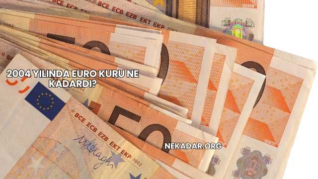 2004 Yılında Euro Kuru Ne Kadardı?
