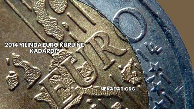 2014 Yılında Euro Kuru Ne Kadardı?