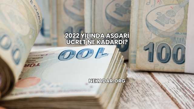 2022 Yılında Asgari Ücret Ne Kadardı?