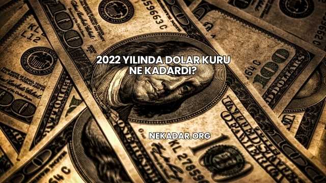 2022 Yılında Dolar Kuru Ne Kadardı?