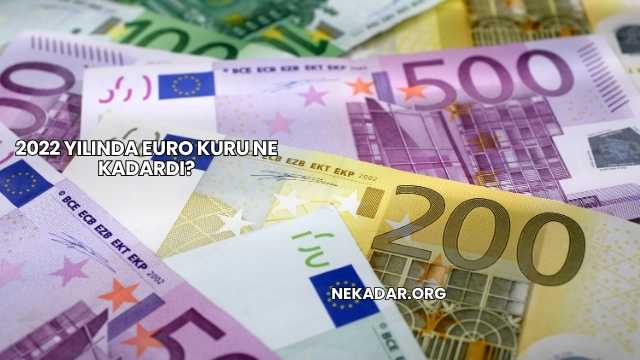2022 Yılında Euro Kuru Ne Kadardı?