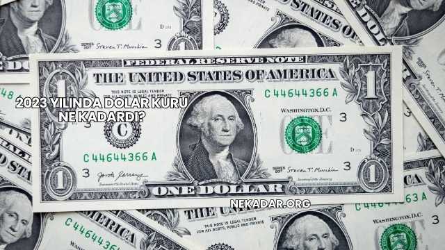 2023 Yılında Dolar Kuru Ne Kadardı?