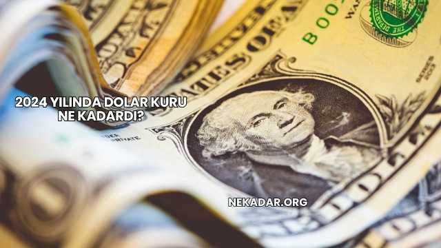2024 Yılında Dolar Kuru Ne Kadardı?